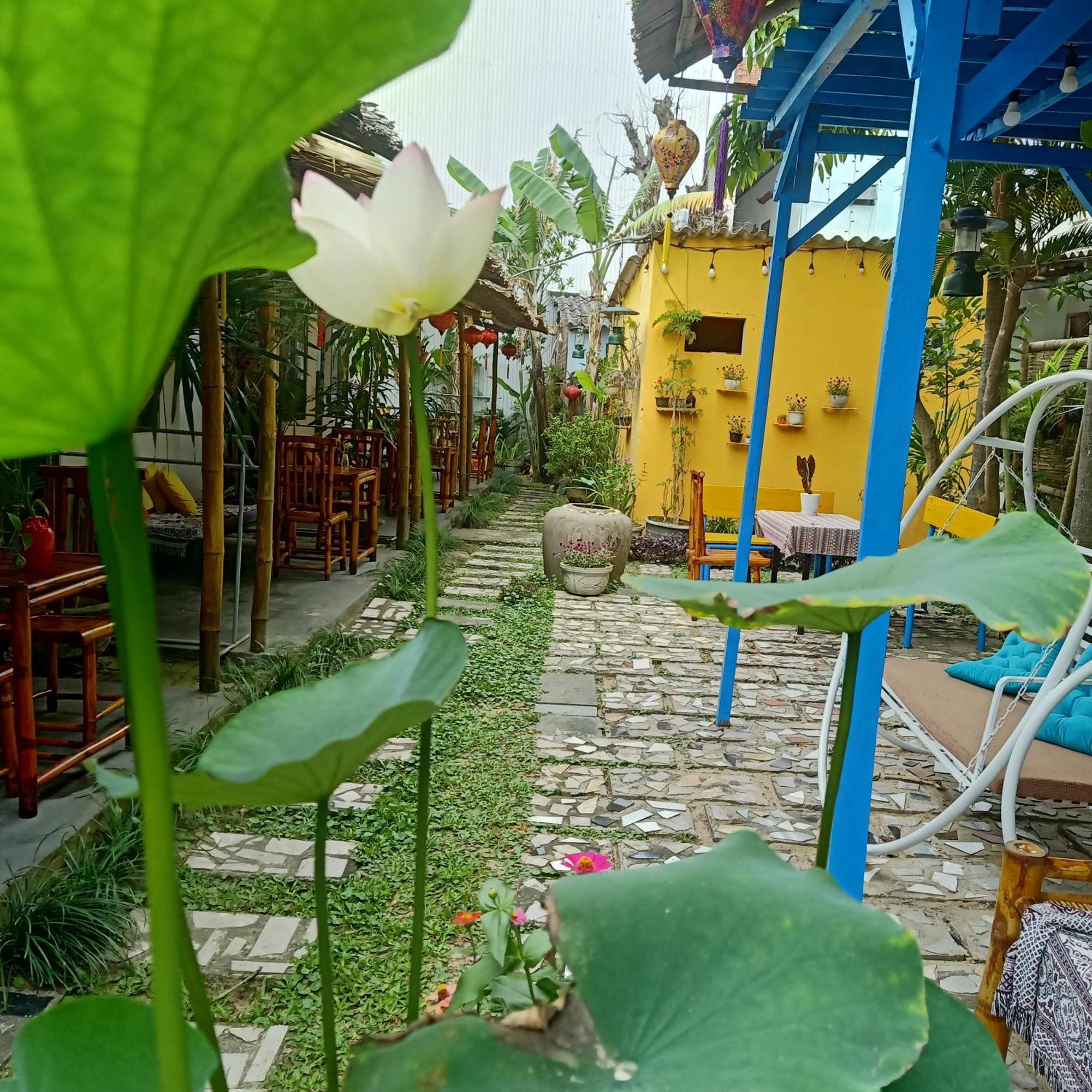 Homestay The Natural Hoi An